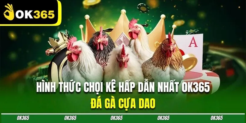 Chọi gà cựa dao với những màn tranh tài đẫm máu