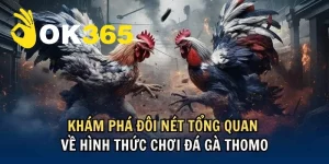 Đá Gà Thomo