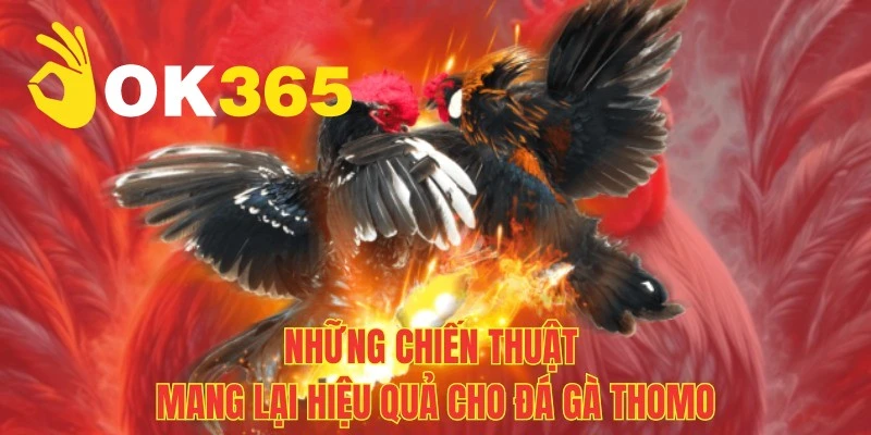 Mẹo chinh chiến đá gà