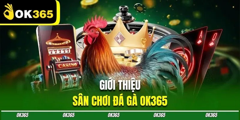 Tìm hiểu sân chơi chọi kê tại casino OK365