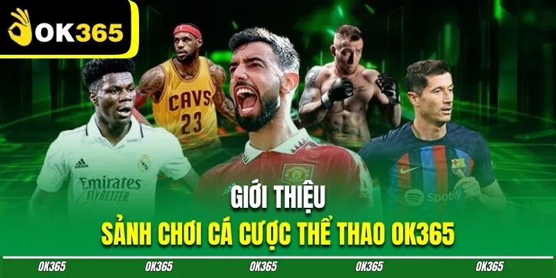 Đôi nét sân chơi cá cược thể thao trực tuyến OK365