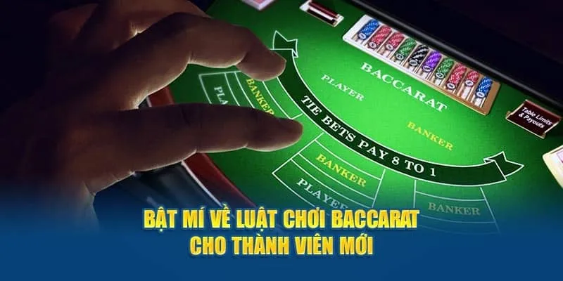 Luật chơi Baccarat với các cửa cược thường gặp nhất