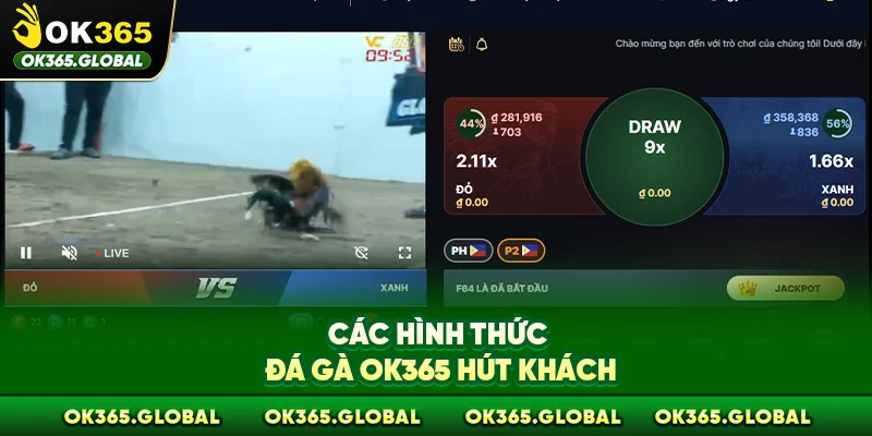 Các hình thức đá gà OK365 hút khách Các hình thức đá gà OK365 hút khách